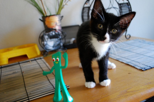 Gumby and the Kitten